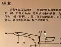 中国古代冷兵器之铜戈：古代战争曾发挥重要作用