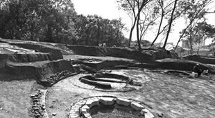 宁夏史前文化遗址水洞沟再启考古发掘 研究范围延伸至古植物