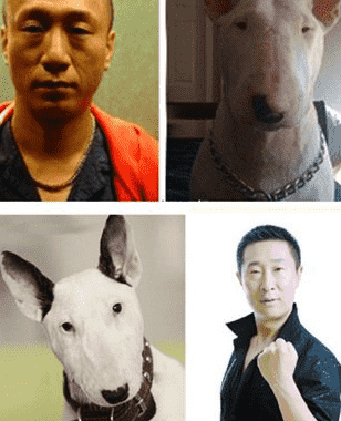 林永健与狗很相似的照片 称自己亏欠大俊很多