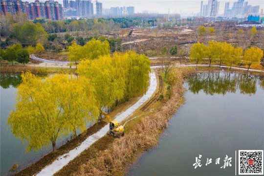 全面开工！武汉中心城区将出现一座“竹公园”
