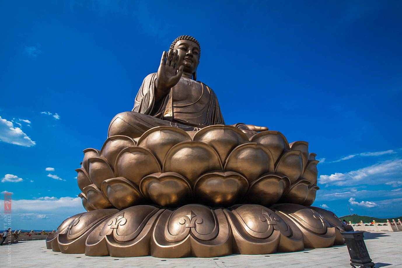 世界最大释迦牟尼坐佛原来在这里，还能亲眼目睹佛祖真身舍利