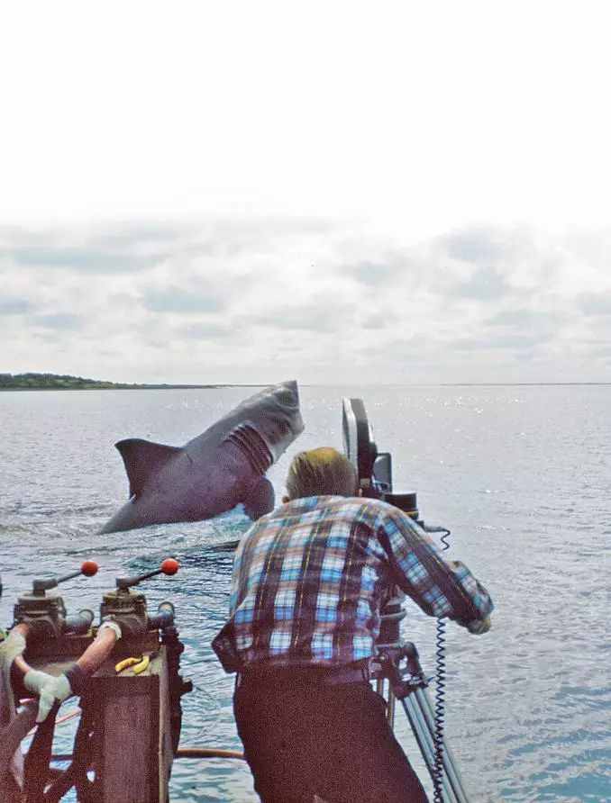 人类对鲨鱼的认知，都在这10部电影里了