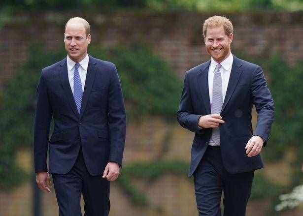 威廉王子和哈里王子！（威廉王子和哈里王子关系缓和！）
