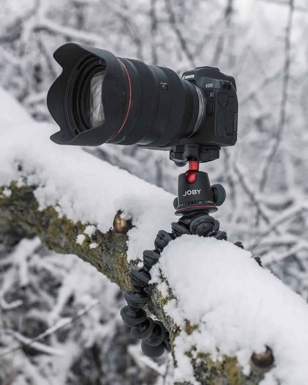 雪景拍摄技巧，教你轻松拍出雪景大片