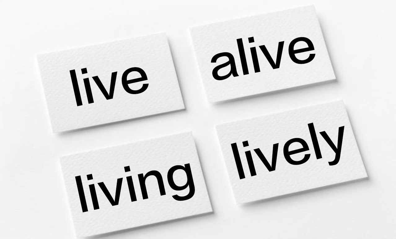 你真的会区分live、life、alive、living的用法吗？