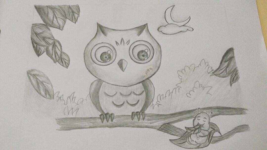 儿童素描简笔画教程 这只猫头鹰萌你一脸，从此爱上素描