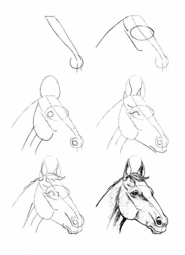 简笔画教程，50个马的画法！
