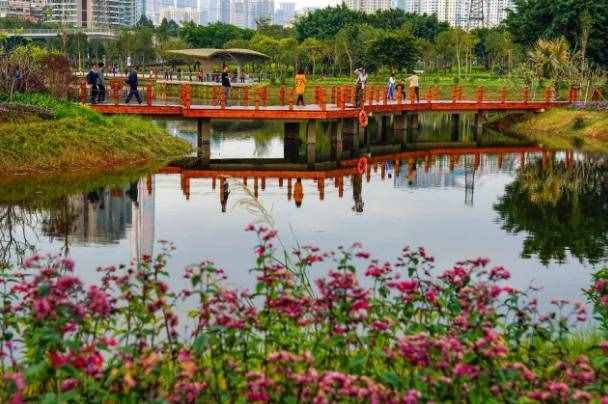 深圳15个最适合一日游的景点……人少景美还免费！