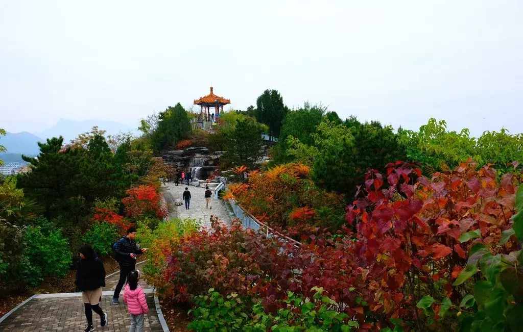 6个北京秋日最有灵气的景点！让我们真正走进大自然，而不只是路过