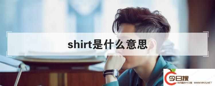 shirt是什么意思中文（shirt是什么意思）