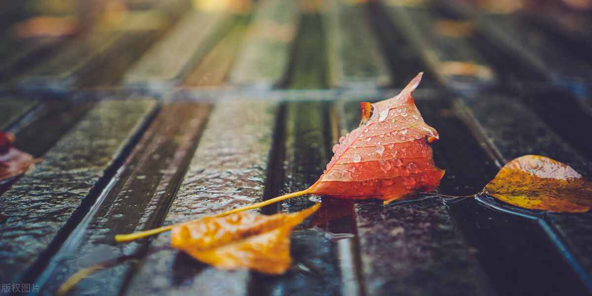 一场秋雨一场凉，秋雨绵绵秋意长