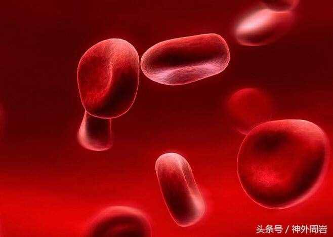 血常规中红细胞和血红蛋白的作用是什么？