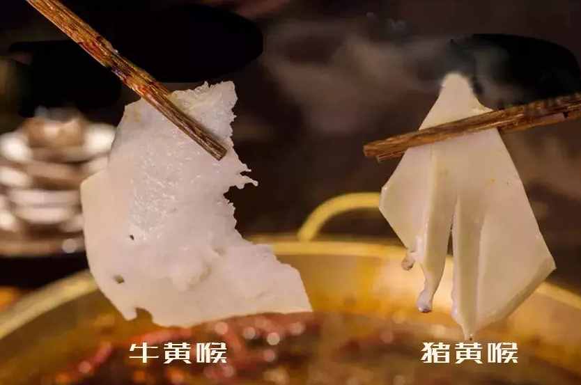 重庆火锅里的黄喉，是动物哪个部位，常吃有没有毒呢？今天告诉你