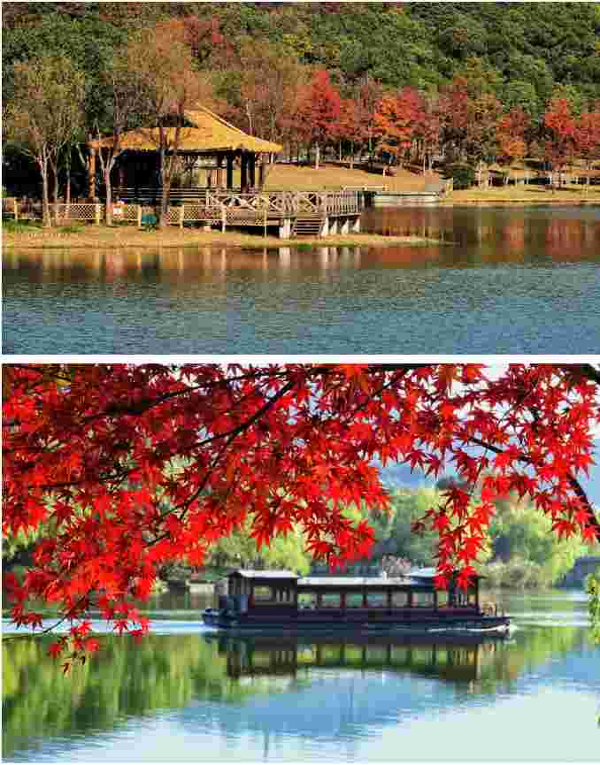 ​太美了！杭州湘湖赏秋拍摄路线大揭秘，还有出片小心机分享