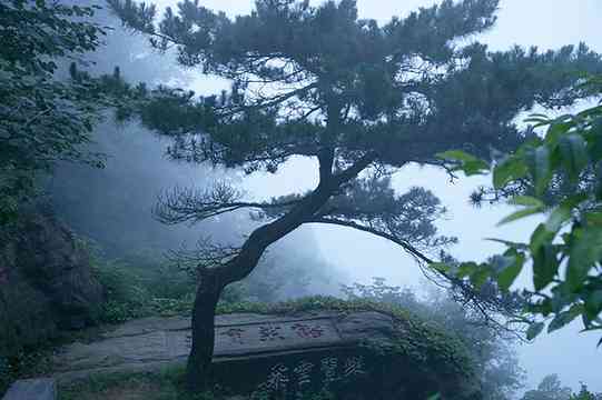 江西庐山，不仅奇秀甲天下，更是一座文化名山