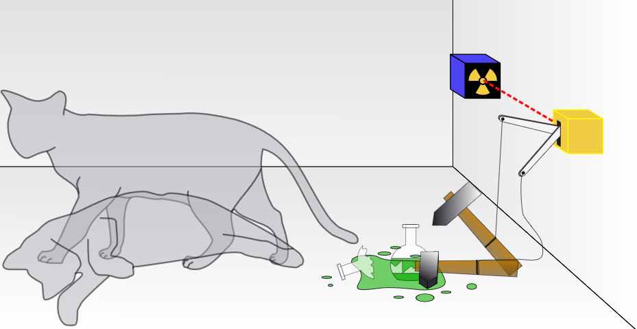 薛定谔的猫是指什么，为什么会出现“既死又活”的猫？