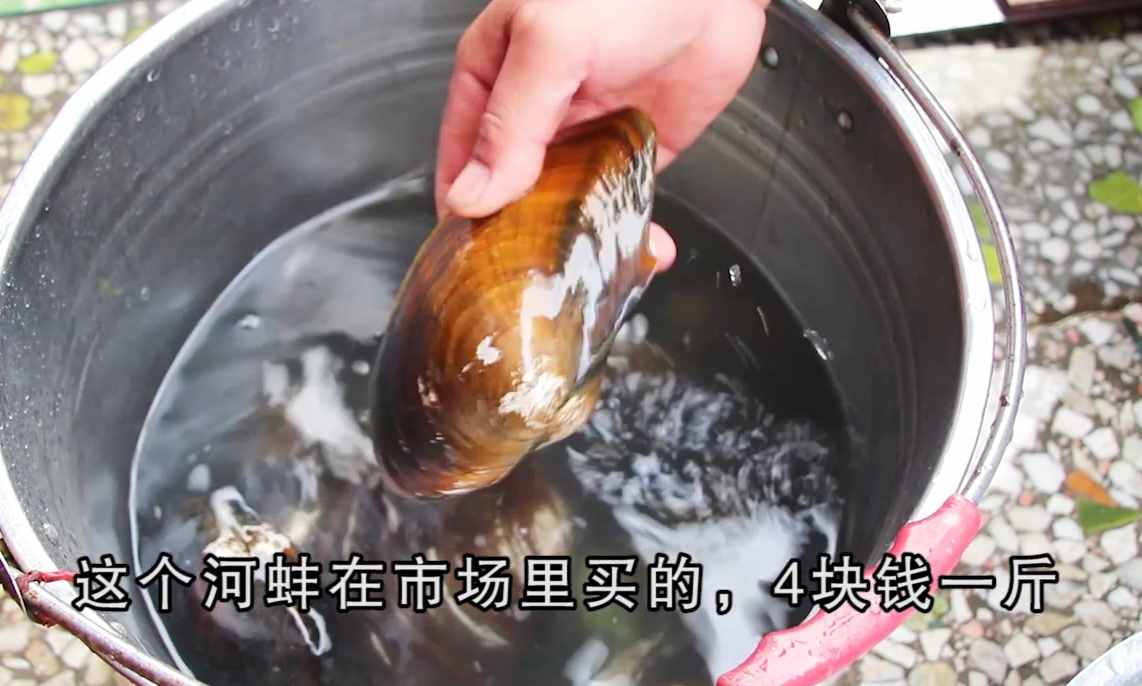 河蚌很多人不会做？教你好吃的家常做法，肉不老也不腥，营养美味