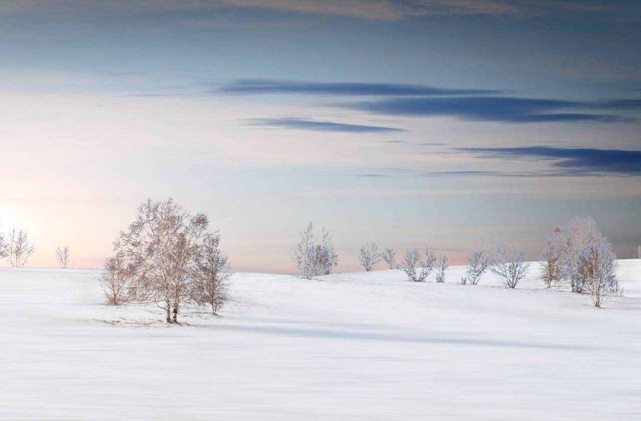 16首经典咏雪诗词，冬如画，雪如诗，赏尽冬雪之雪
