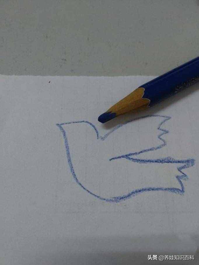 和平鸽怎么画？这样画，一分钟就可以学会，让孩子懂得和平即美好