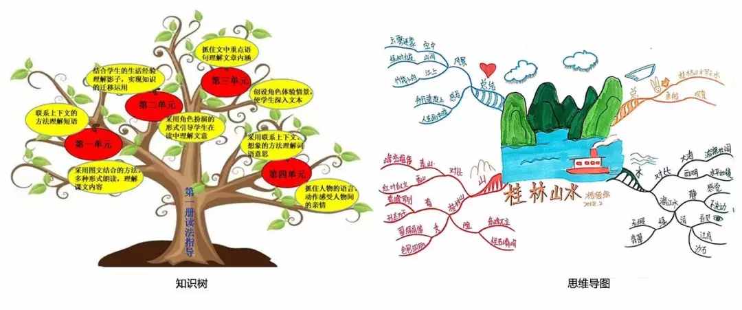 知识树（思维导图与知识树的区别）