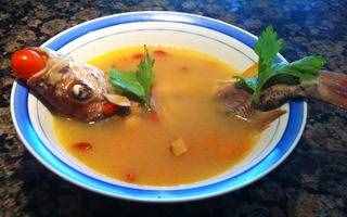 清炖鱼汤的做法,清炖鱼汤的家常做法