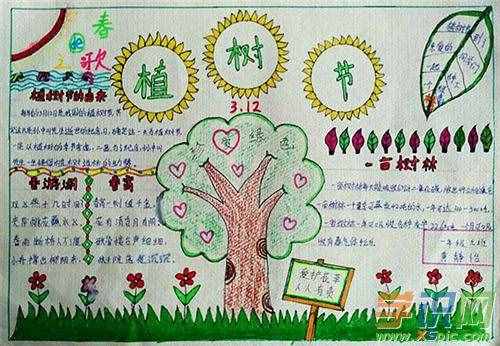 312植树节儿童手抄报图片作品2020最新精选植树节手