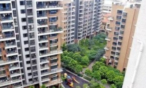 深圳玉田村长租公寓受到欢迎刚刚上线就被一租而空