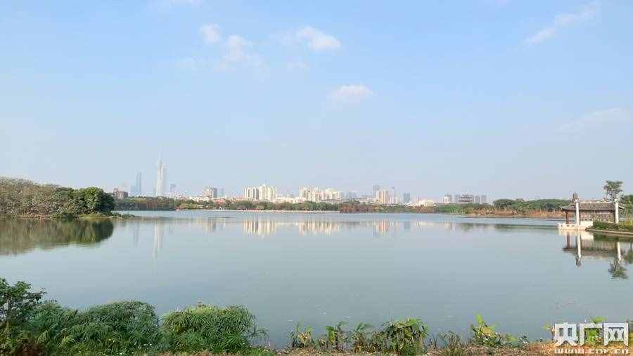 广州海珠湖（藏在城市中央“会呼吸的水”）