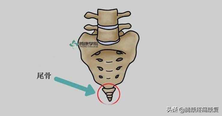 四个缓解尾骨疼痛的方法