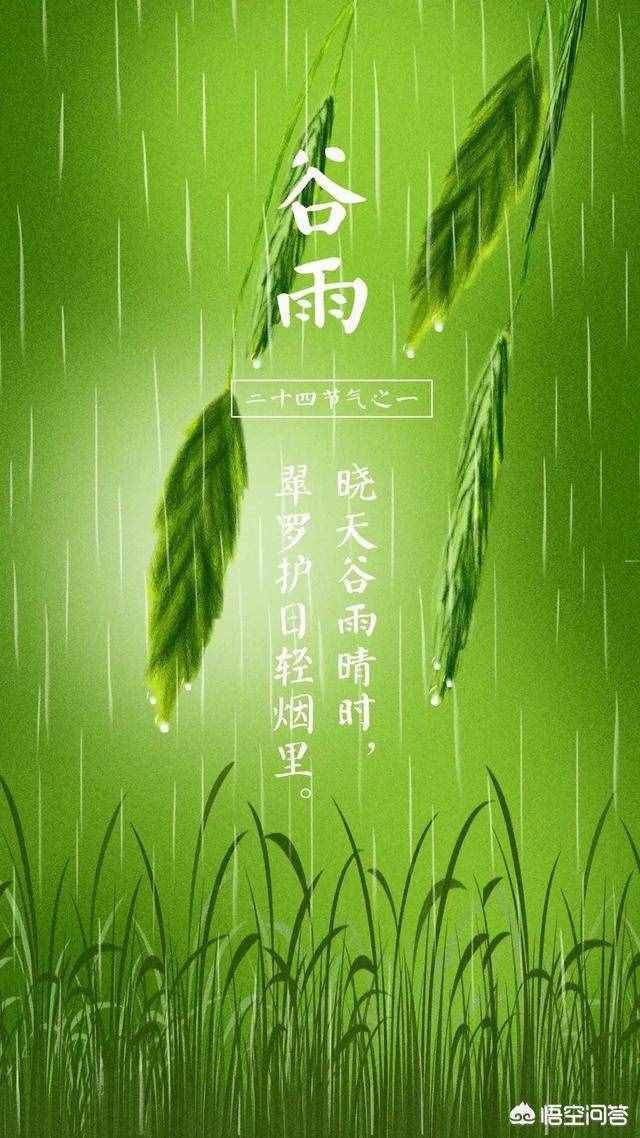 关于雨的俗语（关于下雨的农谚或俗语有哪些？）
