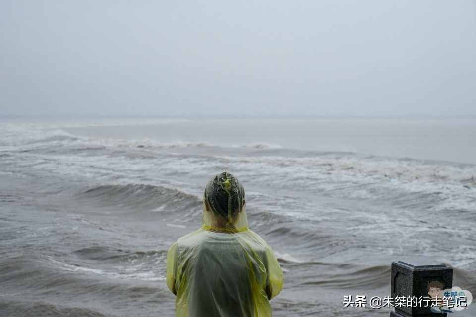 浙江最无奈的景区，明明一年四季都有天下奇观，游客却只记住一天