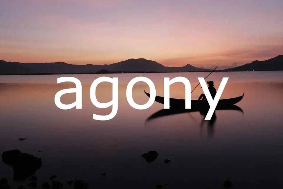 agony是什么意思（每日单词：agony）