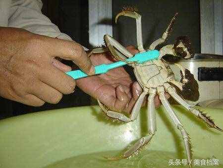螃蟹清洗技巧和方法：大闸蟹怎么处理才能清洗干净内脏和身体？
