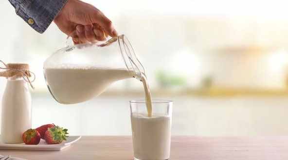 喝牛奶记住四个最佳时间，营养吸收效果好