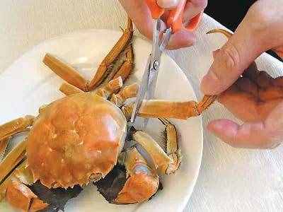 螃蟹的吃法（史上最全螃蟹吃法）
