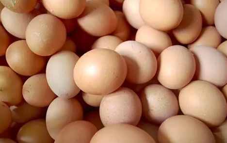如何辨别“真假”鸡蛋？教你5个方法，不怕买到假鸡蛋