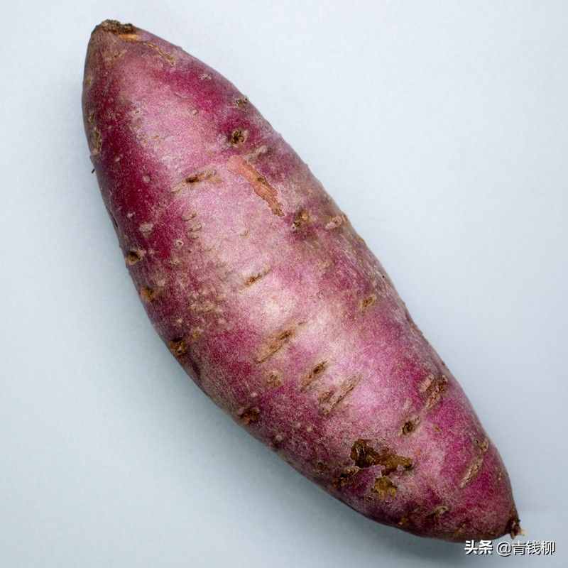 彝良县红薯全程保健栽培技术