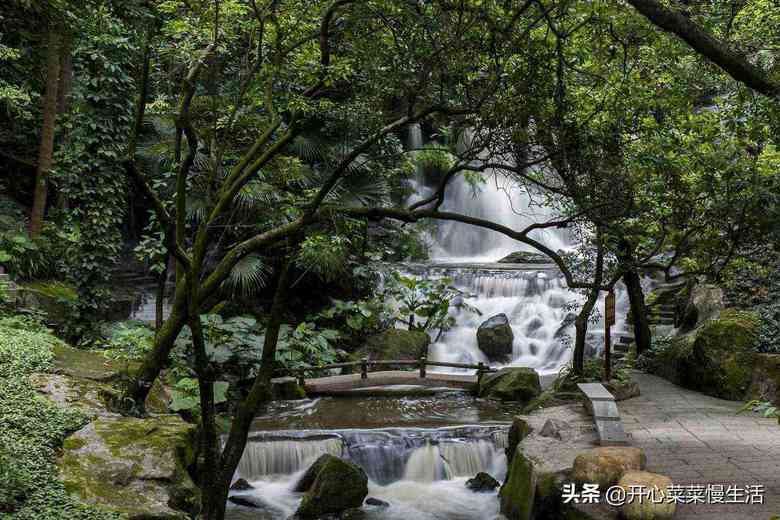 广东佛山最值得打卡的13个景点，每个点都足以爱上佛山，一生必去