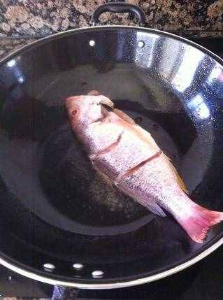 清炖鱼汤的做法,清炖鱼汤的家常做法