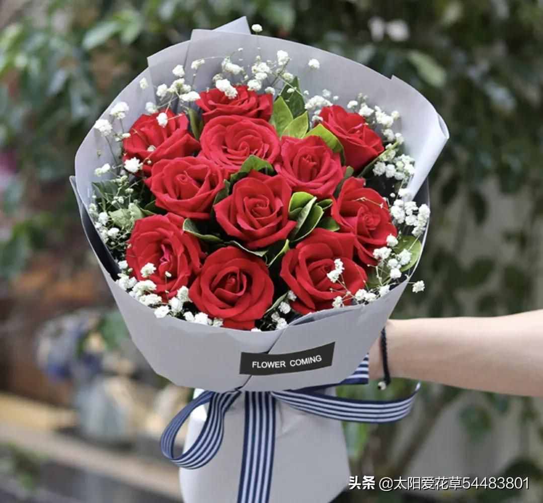 情人节，5种花卉适合送给喜欢的人，你会送哪一种花？