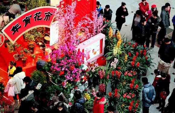 春节花卉（好看的“年味花”清单）