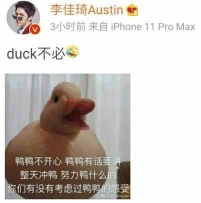 duck（duck不必什么意思什么梗 ）