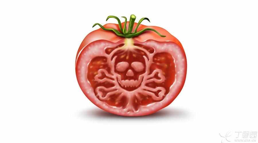 是未成熟的青番茄不能吃，不是「生」番茄不能吃！
