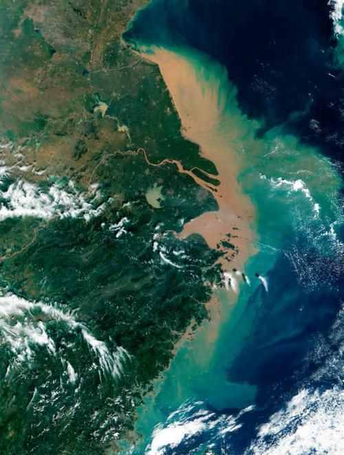 长江水量位居世界第三，大量淡水鱼被冲进东海，最后都去哪里了？
