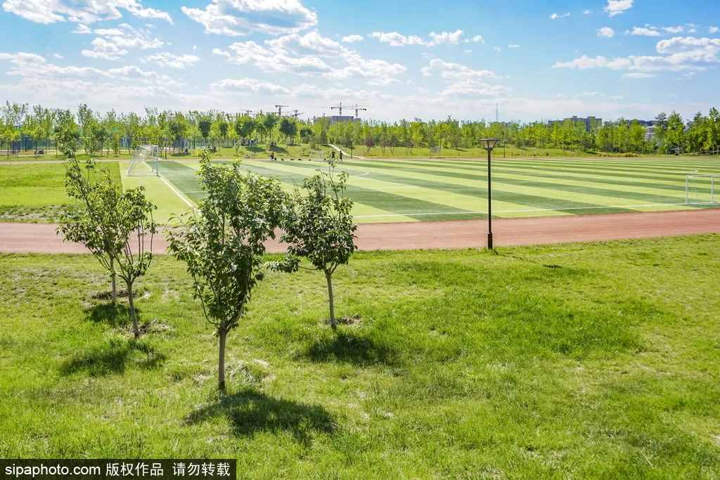 坐不住了！北京这个免费“网红”公园里，不仅藏着超大足球篮球场，还有这些！