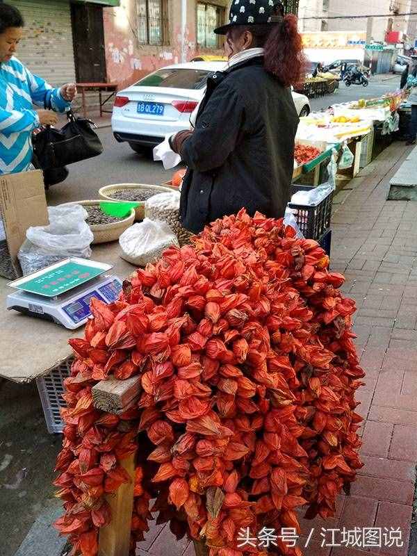 红姑娘又酸又甜，即可当水果吃，又能治病，吉林市街头6元一斤