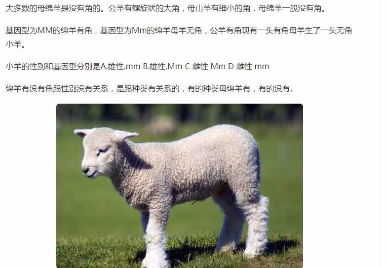 十年后才知道，美羊羊的羊角并非什么穿帮，母羊其实也有角