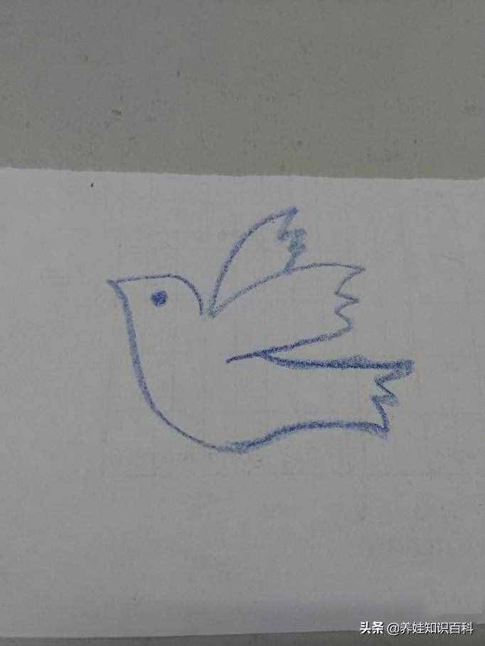 和平鸽画法 （和平鸽怎么画？这样画）