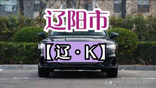 辽宁省汽车牌照按照字母排序