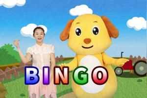 bingo是什么意（bingo是什么意思）